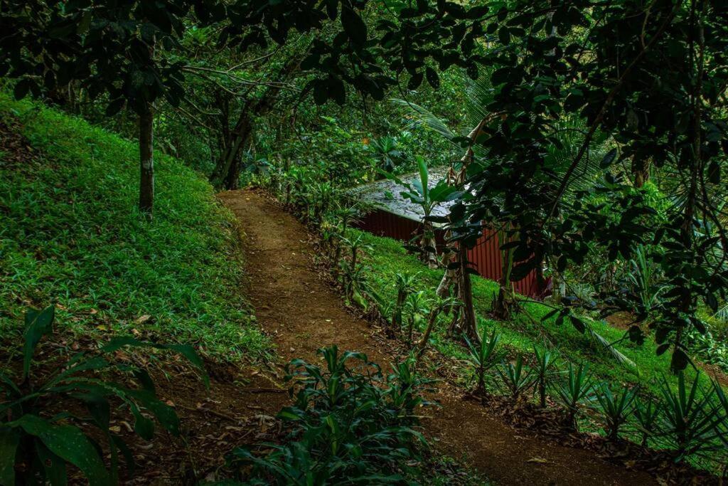 Cabana En La Montana Venecia المظهر الخارجي الصورة